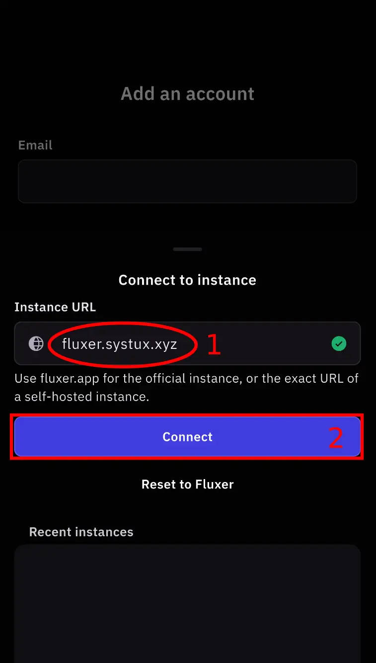 Connect to instance sheet with the URL field and Connect button marked